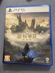 霍格華茲的傳承  hogwarts legacy