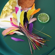 Wholesale Colorful Feather Tear Cocktail Feather Colorful Tail Feather DIY Jewelry Accessories Hat C