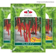 Benih Cabe Merah besar PILAR F1