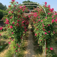 Grape Courtyard Arch Rack Villa Flower Rack Pillar Outdoor Arch Garden Wedding Rose Climbing Season 