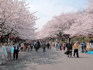 MYSTAYS 五反田站前飯店Hotel MyStays Gotanda Station