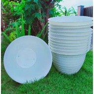 HONEY BEE FLOWER POT 20 BLUESHARK BRAND