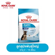 Royal Canin Maxi Puppy โรยัล คานิน อาหารเม็ดลูกสุนัข พันธุ์ใหญ่ อายุ 2-15 เดือน (กดเลือกขนาดได้ Dry Dog Food)