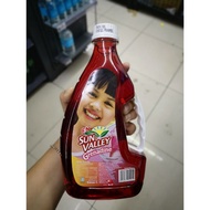 F&N SUN VALLEY  Grenadine (small)