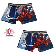 Spiderman Character Boxer Brief For Adult Boxer For Men Men Underwear