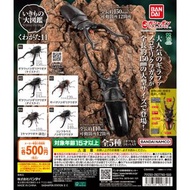 ［現貨］扭蛋 THE DIVERSITY OF LIFE ON EARTH STAG BEETLE 11 / 大圖鑑系列 鍬形蟲 第11彈 (1套5款)