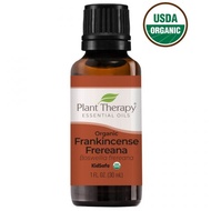 Frankincense Frereana Essential Oil 30ml.