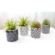 Ceramic Pot - Nordic | Chic | Stylish | Succulents | Air Plants | Live Plants | Decorations | Gift |