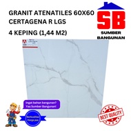 GRANIT 60 X 60 ATENA TILES CERTAGENA LIGHT GRIS 60X60 MARBLE MARMER