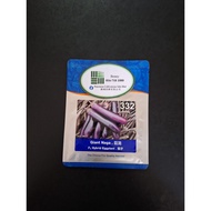 LECKAT SEEDS 332 Hybrid Eggplant 10g
