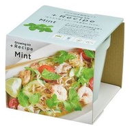 Recipe 盆栽 - 薄荷