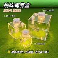 Transparent Transparent Jumping Spider Breeding Box High Breathable Design Small Jumping Spider Spid