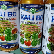 KALI BO SỮA