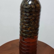 有機栽種 無農藥殘留 泡好的1500ml裝一點紅 六神花 鐵拳頭 金鈕扣