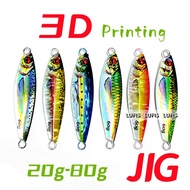 1 Pcs Jig 20g/30g/40g/60g/80g 3D Printing Fishing Lure Bait
