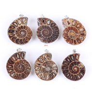 Natural Ammonite Fossils Pendant Necklace Fossils Stone Pendant Fashion Jewelry