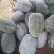 BENIH LABU KUNDUR (isi 5 biji)
