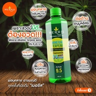 MERRIS 24 Bottles ALKALINE WATER Drinking Good Mood pH 9.5 Pack Vitamin B Minerals