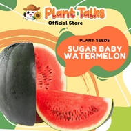 Plant Talks Dwarf Sugar Baby Watermelon Plant Fruit Seeds Special Plant