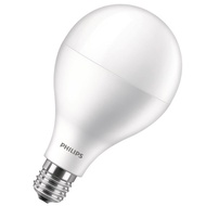 Philips 19w LED Bulb E27