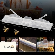 [AuraLayor] 5/10Pcs Hive Beetle Trap Clear Plastic Reusable Beetle Trap Bee Health Suitable For Hive