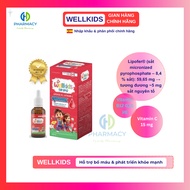 WELLKIDS Iron + Vitamin C + Vitamin B12 Supplement Syrup - manufacturer GLOWER LAB - Spain