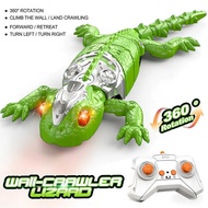 Novelty Prank Remote Control Reptile Toy Wall Climbing Spider Lizard Chameleon 360 Rotating Toy Alat