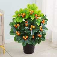 Decorative Ornaments Fake Potted Flowers Plants Green Plants Plastic Flowers Fake Flowers Living Roo