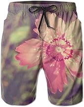 0 Nano Hone Nano Hone Plate 25 Micron