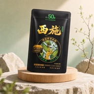 Hainan Fresh Fruit Betel Nut Individually Packaged Betel Nut Delicious Juicy Fresh Fruit Betel Nut G