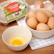 RedMart Cage Free 6PK X-Large Eggs