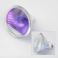 BOLING VIDEO LIGHT BULB 12V 100W