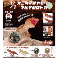 蜥蝪與犰狳 守宮 蜥蝪 壁虎 犰狳 犰狳蜥 變色龍 爬蟲類 爬蟲動物 爬行動物 動物扭蛋 扭蛋 日本扭蛋 日本代購 景品 玩具 公仔 擺設 figure 周邊 盒玩 盒蛋 食玩  