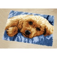 DOYLKE Latch Hook Rug Kits DIY Crochet Yarn Rugs with Color Preprinted Pattern Craft Tapestry Kits f