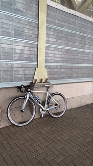 GIANT 公路單車