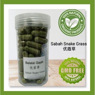 100Pcs🌱忧盾草膠囊Clinacanthus Nutans/ Sabah Snake Grass抗癌、强肾、改善夜尿