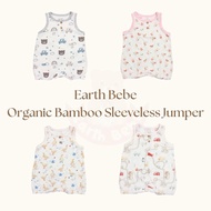 Earth Bebe Organic sleeveless jumper