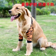 中大型狗狗前腿護肘衣護膝關節積水囊腫腿套春季保暖金毛拉布拉多