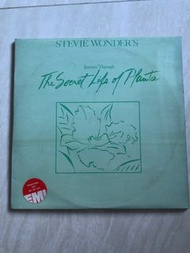 Stevie Wonder-The Secret Life of Plants