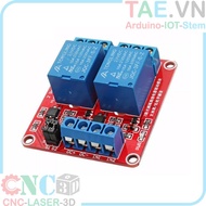 Relay 2 Channel 12V DC Opto Isolator