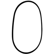 DoPhin / Owl / Astro / BOSS Canister Filter O-Ring