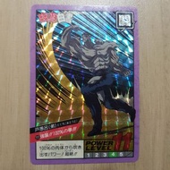 幽遊白書 閃卡 95%
