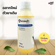 อาเจนด้า 25 อีซี Agenda ec 25 Bayer ปลวก ของแท้ 100% ผลิตใหม่ 2025 ผลิตภัณฑ์ป้องกันและกำจัดปลวก น้ำย