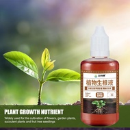 Rooting Powder Plants Root Growth Solution Multifunctional Rooting Stimulator for Houseplants and Tr