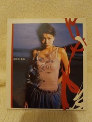 梁詠琪 CD+VCD - 花火