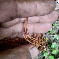 Nylon DUPONT TANGSI THROUGHT 50LBS SELL 27MATA