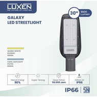 30W LED STREET LIGHT / 30W LED LUXEN STREET LIGHT