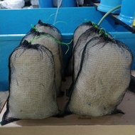 Used Fisherman's Nets 40x25 Packaging Aquarium and Koi Pond Filter Media