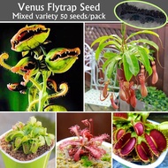 50seeds Mixed Variety Venus Flytrap Seed for Planting High Germination Carnivorous Plants Seed Balco
