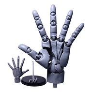 Flexible Artists Hand Model Adjustable Hand Model for Drawing Drawing Mannequin Lively Manikin Figur
